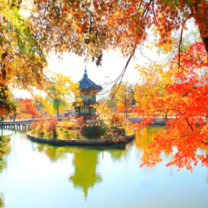 Đi du lịch hàn quốc mùa nào đẹp nhất trong năm?